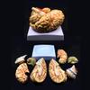 8-Part Brain Models Human Digitally Marked Anatomical Brain Model Life Size for Display Teaching Medical Model,Human Brain Anatomical Model Skeleton Model view 1