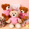 Skylety 6 Pcs Bear Clothes Basic Tee Shirt Classic Stuffed T Shirt Plush Crew Neck for Stuffed Bears Doll with 14 - 18 Inch, Bear Not Included(Pink) view 4