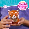 furReal Handfuls Shy The Red Panda, 3.5 Inch Interactive Toy, for Boys and Girls, Ages 4 and Up, Kids Toys for Ages 4 Up by Just Play view 4
