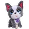 FurReal Walk-A-Lots French Bulldog, 8 Inch Tall Interactive Toy Dog, for Boys and Girls, Ages 4 and Up by Just Play, Kids Toys for Ages 4 Up by Just Play view 4