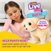 Little Live Pets Ouchies Cooper The Retriever Puppy, 50+ Sounds, Limping to Walking Puppy Toy with Vet Carrier, Interactive Toy Dog for Kids Ages 5+ view 2