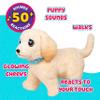 Little Live Pets Ouchies Cooper The Retriever Puppy, 50+ Sounds, Limping to Walking Puppy Toy with Vet Carrier, Interactive Toy Dog for Kids Ages 5+ view 3