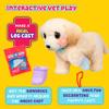 Little Live Pets Ouchies Cooper The Retriever Puppy, 50+ Sounds, Limping to Walking Puppy Toy with Vet Carrier, Interactive Toy Dog for Kids Ages 5+ view 4