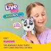 Little Live Pets My Really Real Puppy Mini Aurora The Husky, Interactive Plush Toy with Display Basket, 20+ Sounds and Reactions, Puppy Toys for Kids view 2