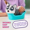 Little Live Pets My Really Real Puppy Mini Aurora The Husky, Interactive Plush Toy with Display Basket, 20+ Sounds and Reactions, Puppy Toys for Kids view 4