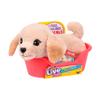 Little Live Pets My Really Real Puppy Mini Buddy The Retriever, Interactive Plush Toy with Basket, 20+ Sounds and Reactions, Puppy Toys for Kids view 1