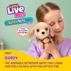 Little Live Pets My Really Real Puppy Mini Buddy The Retriever, Interactive Plush Toy with Basket, 20+ Sounds and Reactions, Puppy Toys for Kids view 2