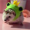 Funny Cosplay Costume for Hedgehog Polar Fleece Handmade Clothes Hoodie for Small Animal Rat Hamster Ferret Party Dress Up Halloween Christmas Photo Shoot (Frog Hat,L(500-600g)) view 2