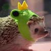 Funny Cosplay Costume for Hedgehog Polar Fleece Handmade Clothes Hoodie for Small Animal Rat Hamster Ferret Party Dress Up Halloween Christmas Photo Shoot (Frog Hat,L(500-600g)) view 4