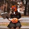 1pc Light-Emitting Pumpkin Mask Ghost Mask Party Cosplay Mask Decorative Mask Halloween Demon Masks Mask Halloween Mask Novel Pumpkin Mask Spooky Cosplay Supply Orange Plastic/1004 view 3