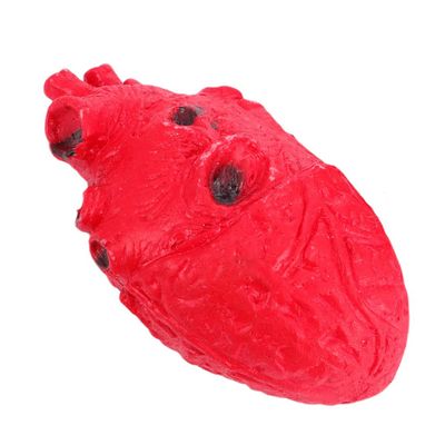 Abaodam Halloween Simulation Heart Prop Realistic Fake Heart Decoration for Haunted House and Halloween Eerie Atmosphere for Indoor and Outdoor Use