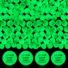 Seenelling 24 Pcs Christian Glow in The Dark Bouncy Balls Easter Jesus Bible Verse Rubber High Bouncing Balls Christian Party Favor Religious Classroom Gifts (Bible, Green) view 1