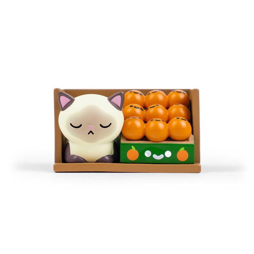 100% Soft Bodega Kitties Mystery Box