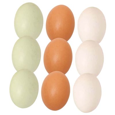 Wakauto 9pcs Wooden Simulation Eggs Realistic Fake Eggs for Easter Decor Crafts and Photography Props Wooden Natural Colors
