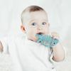 2PCs- Fish 3D Teether & Crab Teething Toys for Newborn Babies Infants 0-3-6-12-18 Month view 4