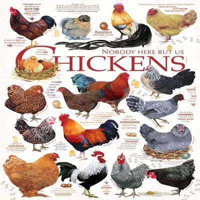 1000 Piece Chicken Quotes Great Jigsaw Puzzles for Adults Dog Puzzles for Adults Toys Gift Family Decoration Puzzles