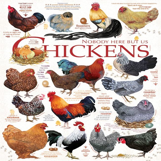 1000 Piece Chicken Quotes Great Jigsaw Puzzles for Adults Dog Puzzles for Adults Toys Gift Family Decoration Puzzles