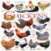 1000 Piece Chicken Quotes Great Jigsaw Puzzles for Adults Dog Puzzles for Adults Toys Gift Family Decoration Puzzles view 1