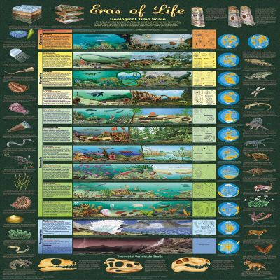 1000 Piece ERAS of Life Great Jigsaw Puzzles for Adults Dog Puzzles for Adults Toys Gift Family Decoration Puzzles