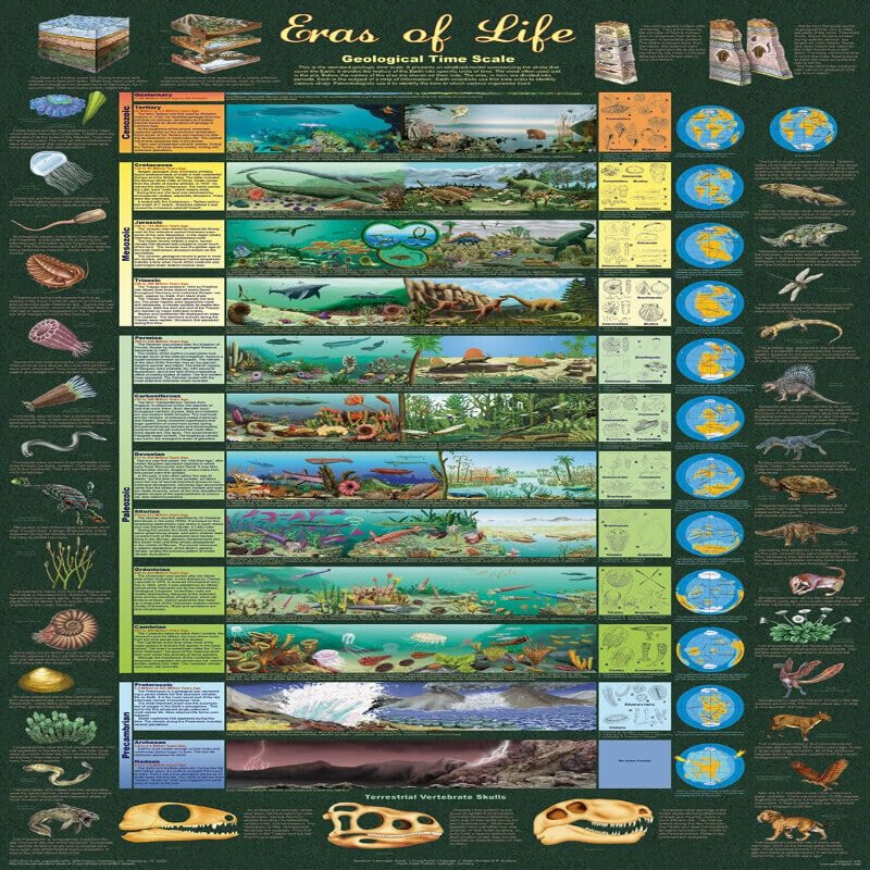 1000 Piece ERAS of Life Great Jigsaw Puzzles for Adults Dog Puzzles for Adults Toys Gift Family Decoration Puzzles