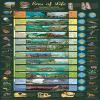 1000 Piece ERAS of Life Great Jigsaw Puzzles for Adults Dog Puzzles for Adults Toys Gift Family Decoration Puzzles view 1