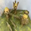 Legion Terrain - Forest Village 3'x3' Table - Miniature Tabletop Wargaming Terrain (Painted) view 4