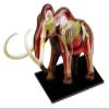 4D Woolly Mammoth Anatomy Model, Removable 30 Parts Organs and Body Parts Anatomical Model Kit, for Pet Clinic Veterinary TrainingSchool Teaching Demonstration view 1
