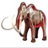 4D Woolly Mammoth Anatomy Model, Removable 30 Parts Organs and Body Parts Anatomical Model Kit, for Pet Clinic Veterinary TrainingSchool Teaching Demonstration view 2