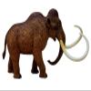 4D Woolly Mammoth Anatomy Model, Removable 30 Parts Organs and Body Parts Anatomical Model Kit, for Pet Clinic Veterinary TrainingSchool Teaching Demonstration view 3