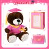 2 Sets Bear with Graduation Cap Toys Class of 2026 Graduation Plush Stuffed Teddy Bear Animal Dog Graduation Cap and Gown with Greeting Card and Bag for Graduation Day Gift(Pink Graduation Bear) view 2