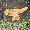 Yellow Door Dig and Discover - Ankylosaurus & Tyrannosaurus Rex view 3