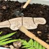 Yellow Door Dig and Discover - Ankylosaurus & Tyrannosaurus Rex view 4