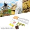YEmirth Queen Rearing Grafting Kit with Cell Cups for Beekeepers Plastic Breeding Equipment Easy to Use for Raising Queen Bees Includes Tools and Accessories view 4