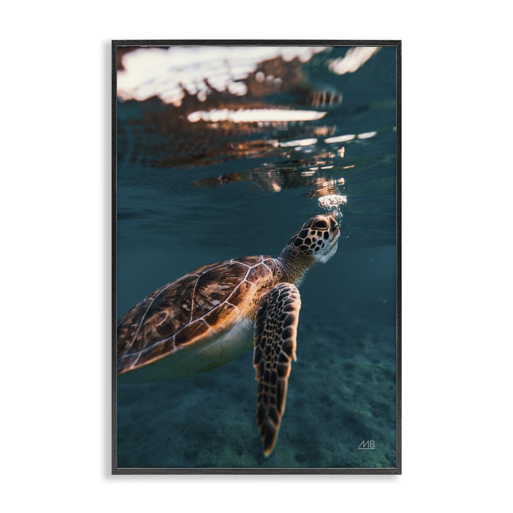 ''| Framed Giclee Art