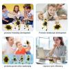 4 Pcs Fidget Toys Bulk Transformable Fidget Spinner for Kids and Adults, Stress Relief Sensory Toy Robot Spinner Toy for Valentines Day Gifts Easter Basket Stuffers (Yellow) view 3