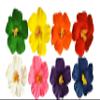 YILANPIN Flower Hair Clips Valentine's Day Gift For Children Adults view 1