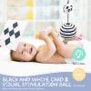 vocheer Black and White Baby Toys, 7 in 1 Sensory Toys for Infants, Tummy Time Toy Newborn 0-3 Months Brain Development, High Contrast Baby Cards Infant Montessori Toy Gift view 3