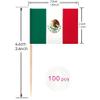 100 Pcs Mexico Flag Mexican Toothpick Flags, Cocktail Picks Mini Stick Cupcake Toppers Country Picks Party Decoration Celebration Cocktail Food Bar Cake Flags view 2