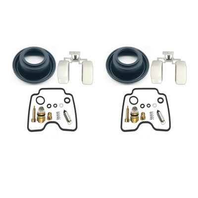 Carburetor Vacuum Diaphragm and Float Needle Valve Gasket Air Screw Repair Kit for XVS1100 XVS1100A Drag Star XVS 1100 A