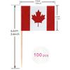 100 Pcs Canada Flag Canadian Toothpick Flags, Cocktail Picks Mini Stick Cupcake Toppers Country Picks Party Decoration Celebration Cocktail Food Bar Cake Flags  view 2