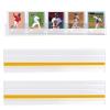 10 Pack PVC Baseball Card Display Case with Self-Adhesive Backing, Wall Mounted Display Rack for Sport Football Softball Trading Card Storage, Hold up to 60 Cards, Fit for Thin Cards view 1