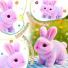 Easfan Walking Rabbit with Carrot nteractive Electronic Pet Plush Bunny Toy with Sounds and Movements Hoping Rabbit Ears Moving Educational Plush Toy Easter Birthday Gifts for Kids Girls, 7'',Rainbow view 2
