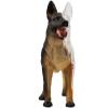 4D Anatomical Dog Anatomy Model, 29 Parts Organ and Body Parts Puzzle Assembly Animal Anatomy Model Organ Educational Puzzle Assembly Model Anatomy Teaching Model view 3