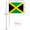 100 Pcs Jamaica Flag Jamaican Toothpick Flags, Cocktail Picks Mini Stick Cupcake Toppers Country Picks Party Decoration Celebration Cocktail Food Bar Cake Flags  view 2