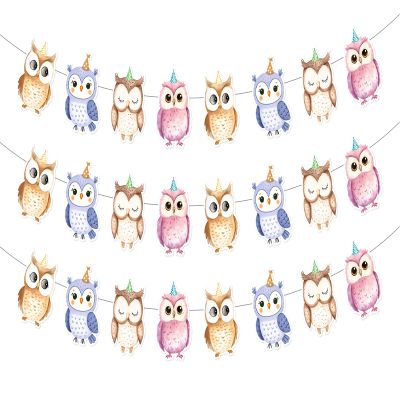 3Pcs Colorful Owl Birthday Banner Cartoon Owl Party Garland Cute Watercolor Woodland Animal Backdrop Banner Forest Animals Hanging Decor for Boys Girls Birthday Party Baby Shower Supplies