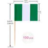 100 Pac Nigeria Flag Nigerian Toothpick Flags, Cocktail Picks Mini Stick Cupcake Toppers Country Picks Party Decoration Celebration Cocktail Food Bar Cake Flags  view 2