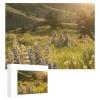 1000Pcs Jigsaw Puzzles for Adults A Group of People Sit in A Field of Flowers Challenging Puzzle for Youth Childen Home Decor Wall Art Gift,Jigsaw for Active Thinking Party Entertainment view 1