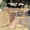 7-in-1 Indoor Jungle Gym Playset, Montessori Climber with Slide, Climbing Wall, Rope Wall Climber, Monkey Bars, Swing, Montessori Playground Climb Set (7-in-1) view 1