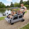 JULYSHILIU Car-Shaped 4 Seater Stroller Wagon for 2 3 Kids Foldable All-Terrain Quad Wagon with Removable Canopy, 5-Point Harness Elevated Seats, XL Storage Bag Shopping Outdoor (Light Grey) view 2