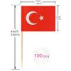 100 Pcs Turkey Toothpick Flag Turkish Cocktail Picks Mini Stick Cupcake Toppers Country Picks Party Decoration Celebration Cocktail Food Bar Cake Flags view 2